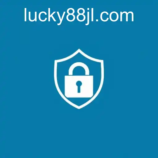 Understanding Privacy Policies: An In-depth Exploration of 88JL